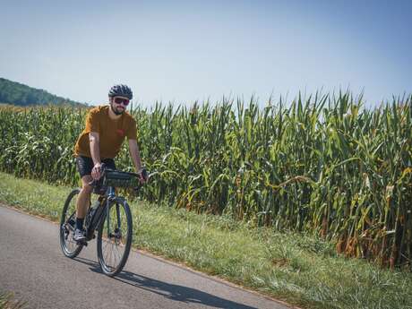 Boucle cyclable n°7 - Le Courlis